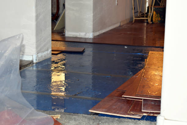 Professional Emergency Water Damage Restoration technician working in Burt, MI